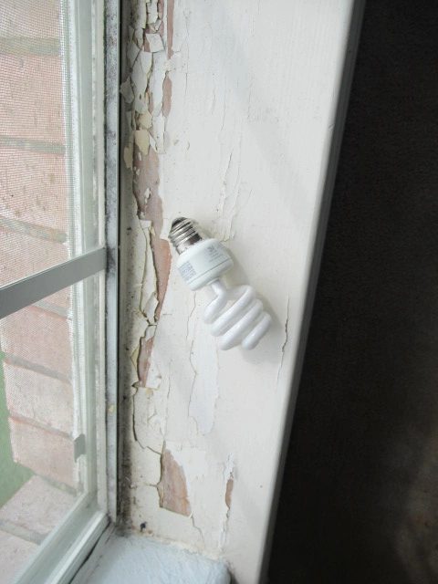 I found peeling paint at several of the window sills during the inspection.