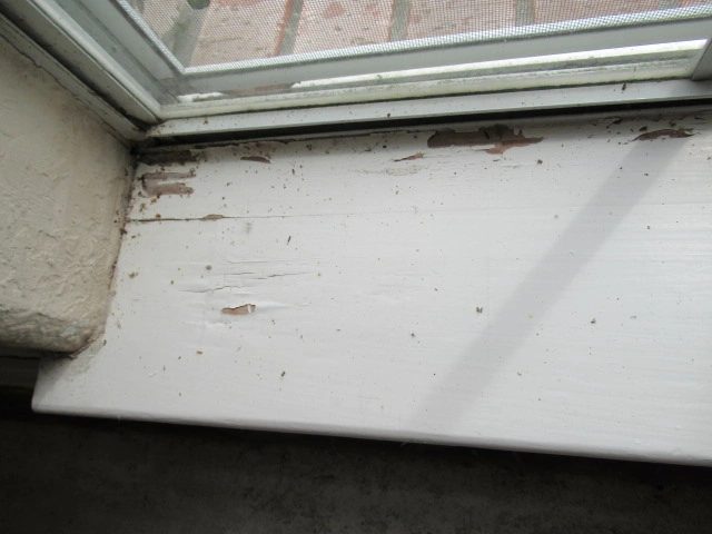 Window with peeling paint and discoloration where very high moisture reading were taken.