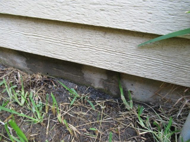 Exterior siding and lower wall area documented during the same inspection.