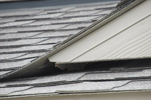 Exposed roof decking at the edge of the roof near the gable.